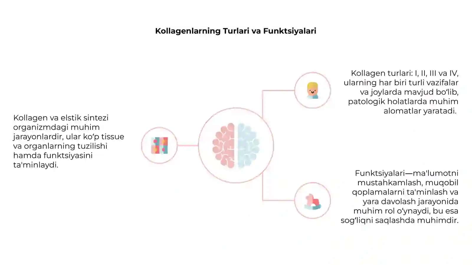 Kollagen va elastik sintez 4
