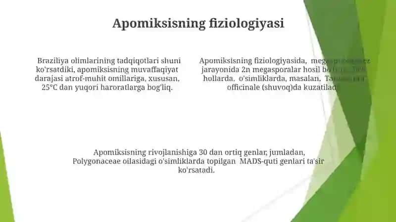 Apomiksis klasifikatsiyasi 4