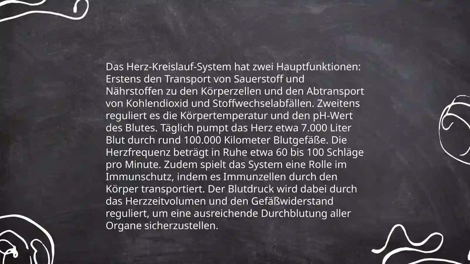 Herz und Blutkreislauf 4