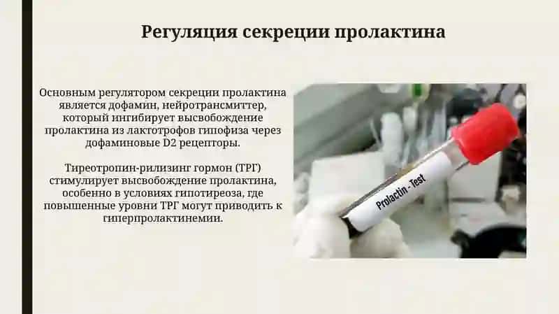 Гормон пролактин 4