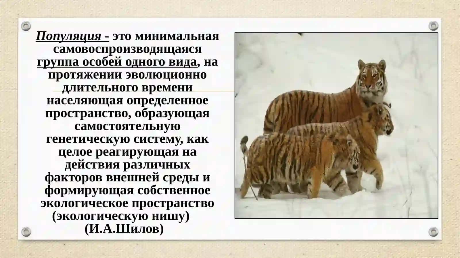 Учениео популяции 4