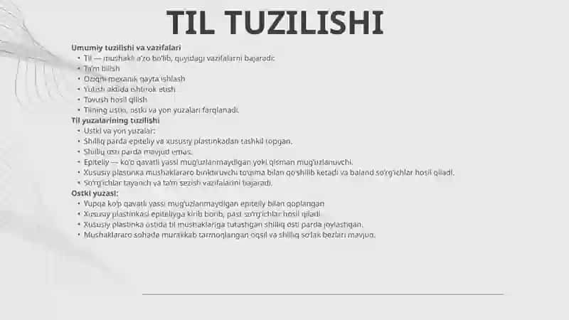 HAZM TIZIMI 4