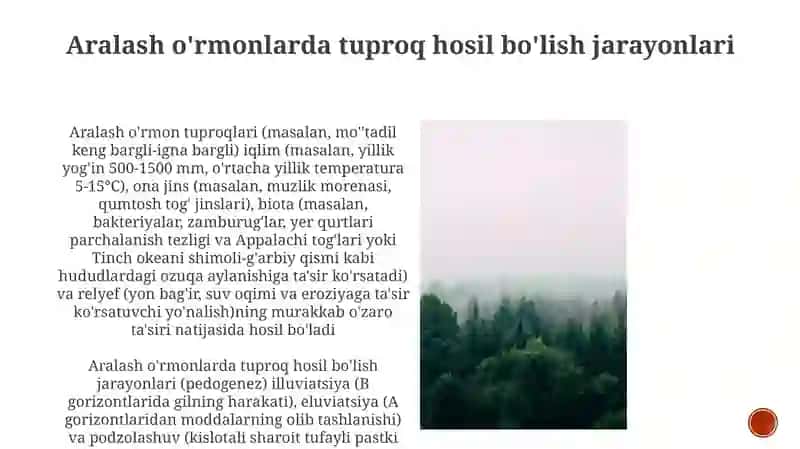 Aralash oʻrmonlar tuproqlarini oʻrganish 4