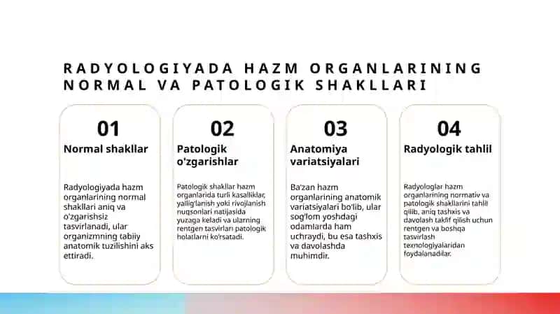 Hazma’zolarining rentgenanatomiyasi 4