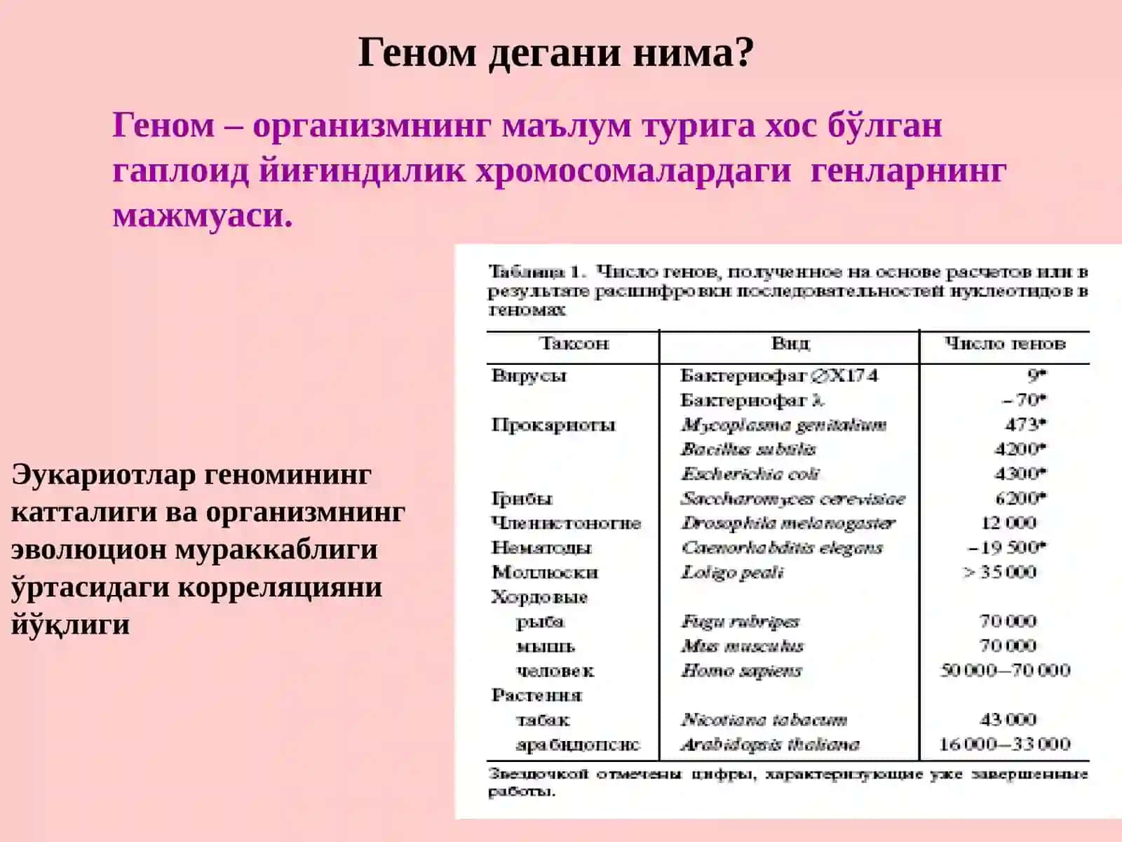 ИНСОН ГЕНОМИ ДАСТУРИ 4