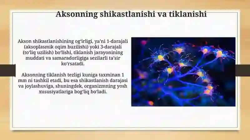Sinaps Mediatorlarining Umumiy Tasnifi 4