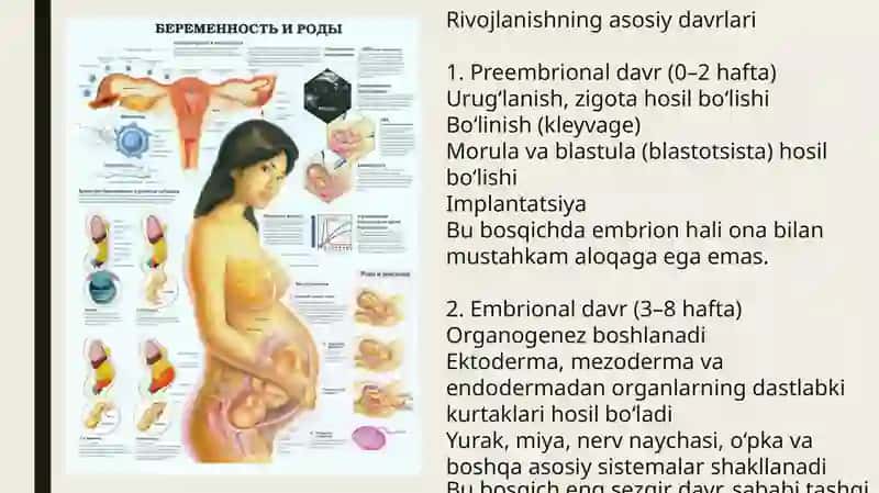 Umumiy embriologiya asoslari.
Gametogenez: Spermatogenez va ovogenez 4
