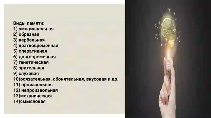 Индивидуальные особенности памяти 4