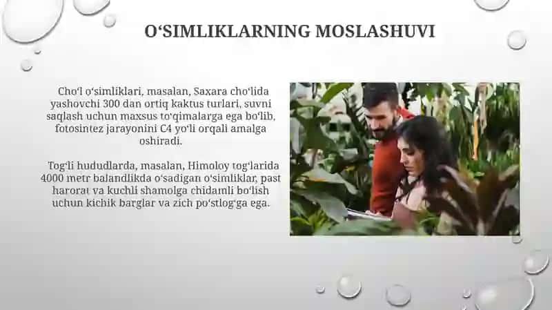 Oʻsimliklar ekologiyasi asoslari 4