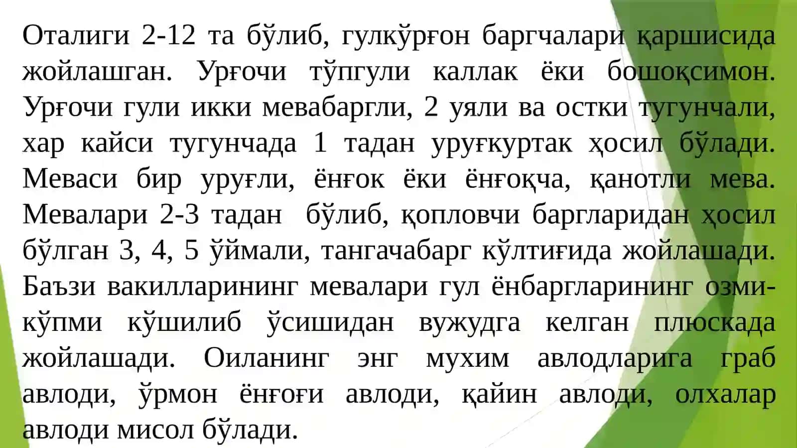 Қайиндошлар (ВЕТULАСЕАЕ) ОИЛАСИ 4