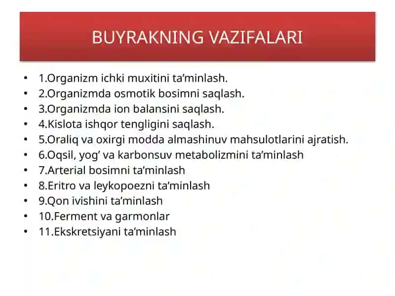 AJRATISH A’ZOLARI FIZIOLOGIYASI 4