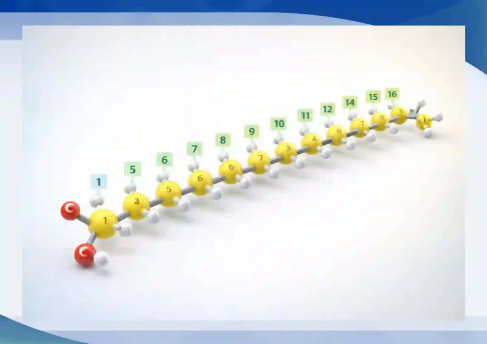Lipidlarning tuzilishi va membranalar. Lipidlar funksiyasi va metabolizmi yog‘ kislotalar va triatsilgliserol sintezi. Yog‘ kislotalarining oksidlanishi. Keton tanachalar sintezi va utilizatsiyasi 4
