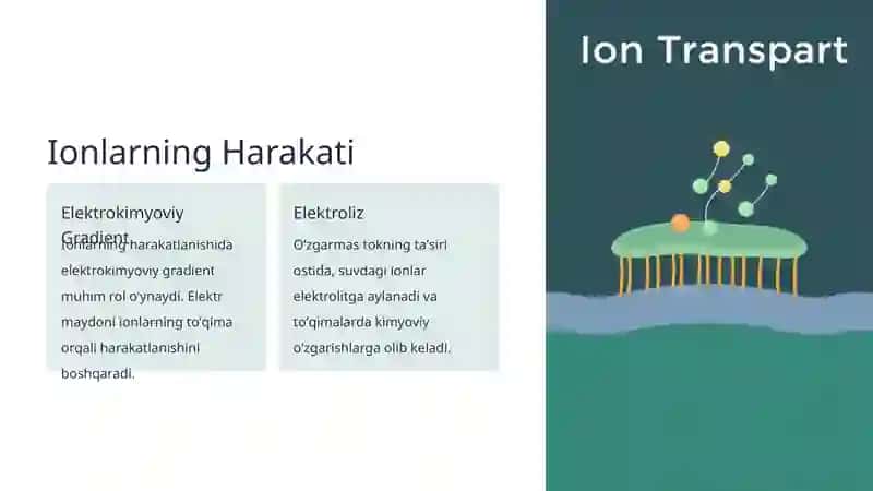 Oʻzgarmas Tokning Toʻqimalarga Taʼsiri 4