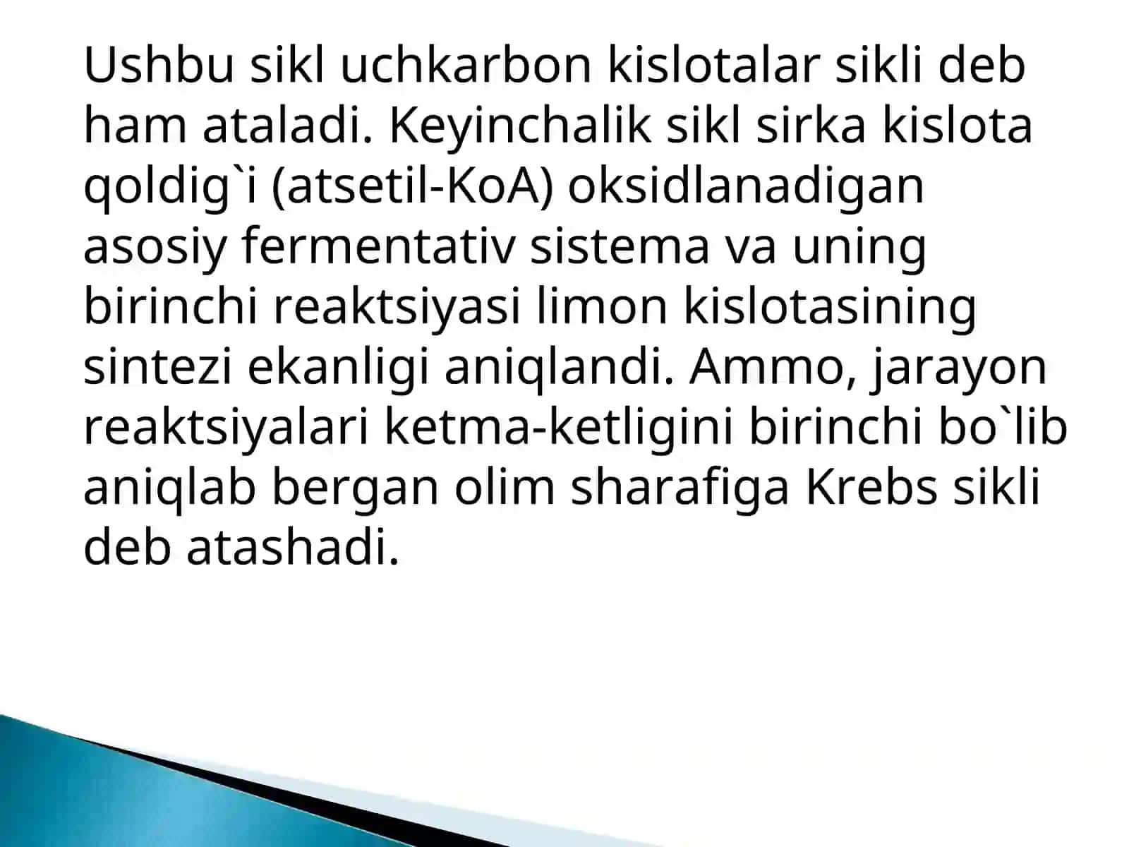 Krebs Sikli 4