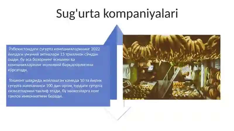 Sug'urta bozorining professional ishtirokchilari 4