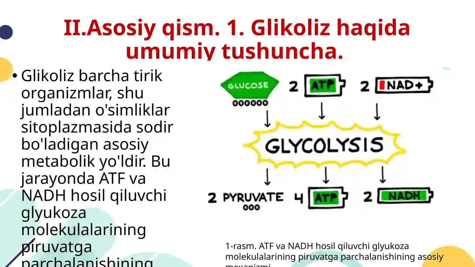 Glikolizva uning hujayra metabolizmidagi o'rni 4