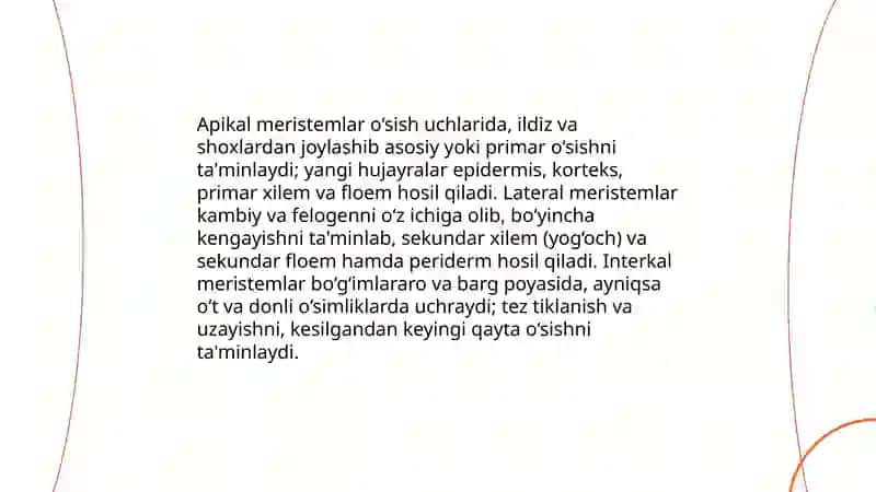 O‘simlik to‘qimalari 4