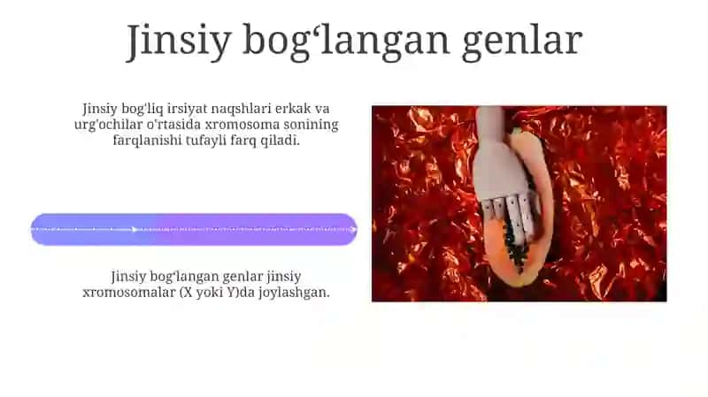 Jinsiy Bog'liq Belgilar 4
