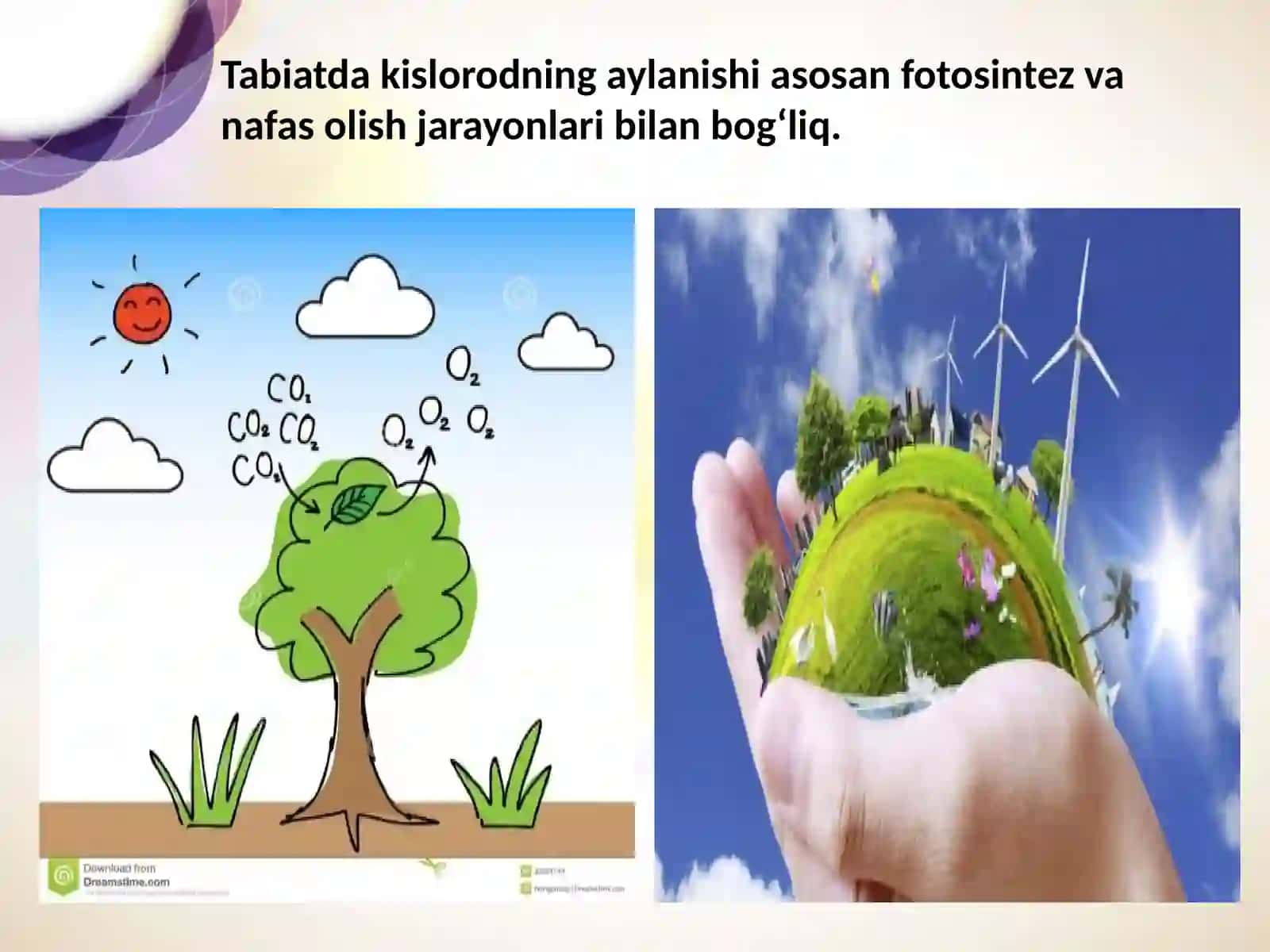 Kislorod gruppachasi elementlari.Oltingugurt 4