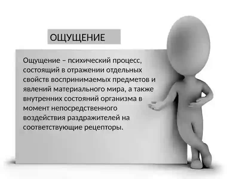 Познавательные процесси:ощущение 4