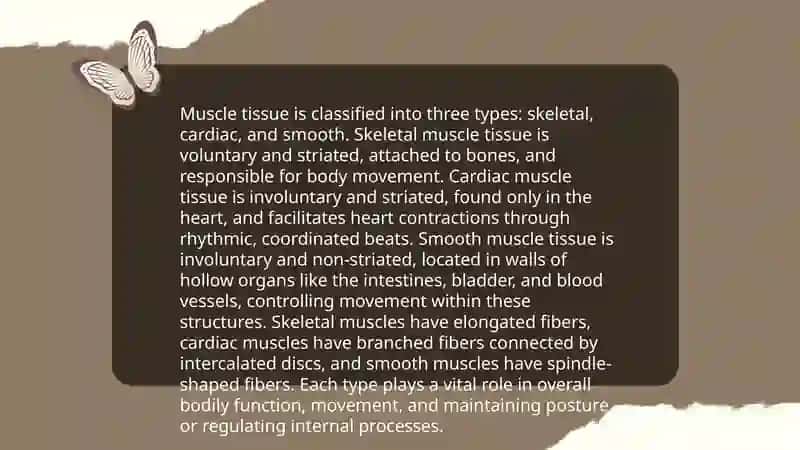 Muscular System 4