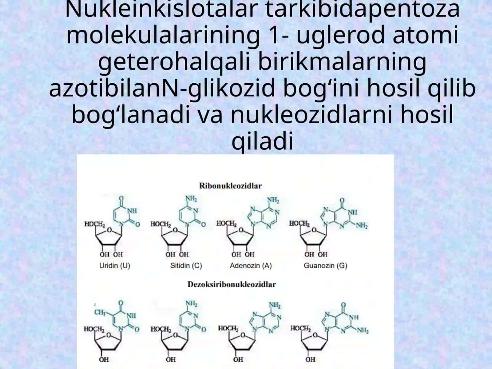 Nukleinkislotalar va Nukleotidlar 4