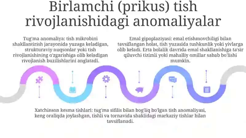 Tishlarning Rentgen Anatomiyasi 4