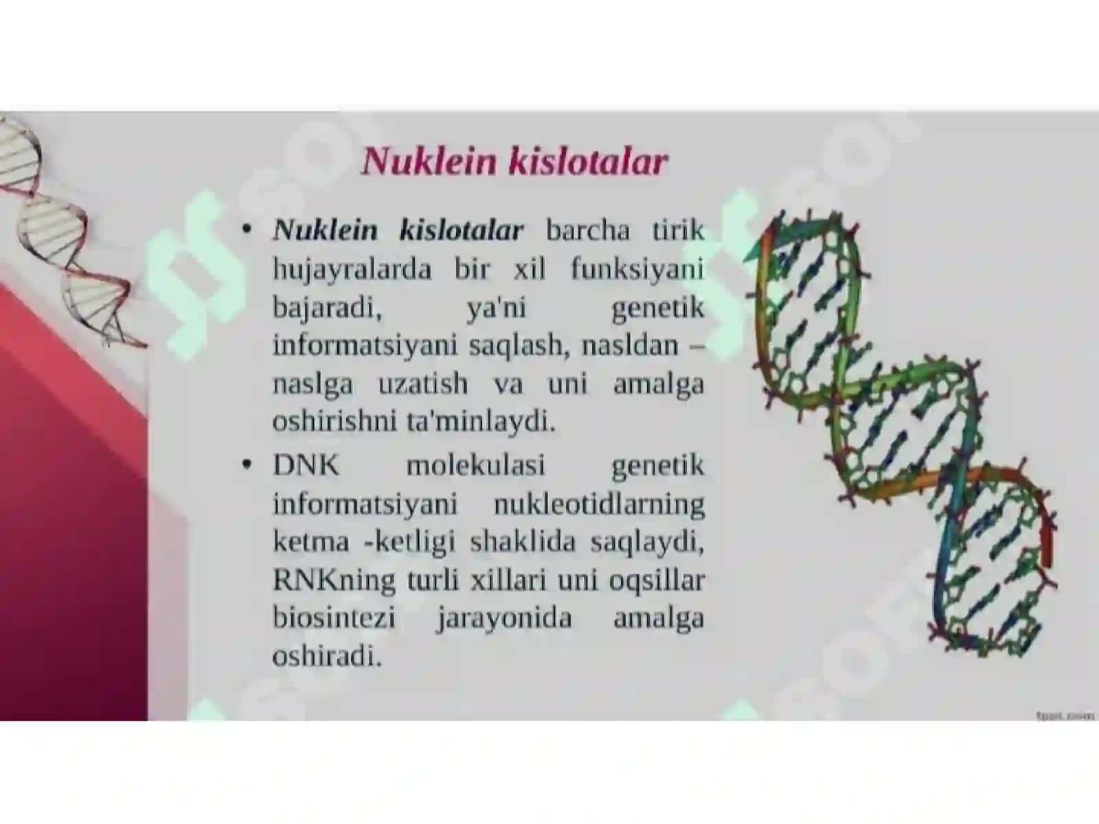 Irsiyatning molekulya rasoslari 4