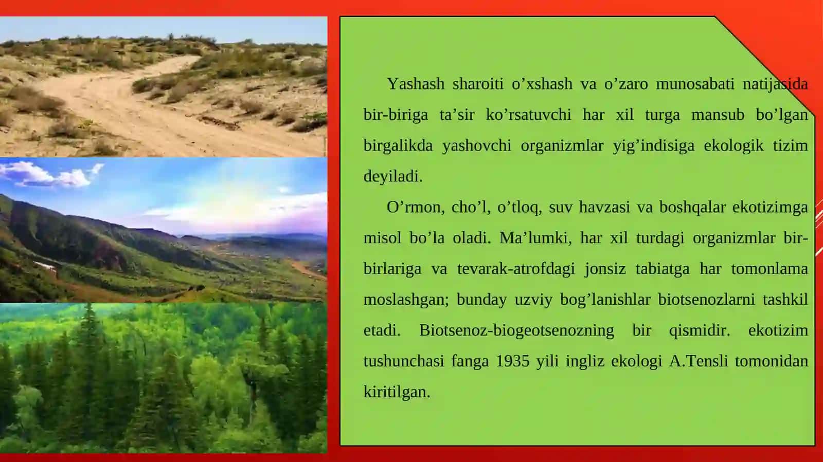 Ekologik tizimlar 4