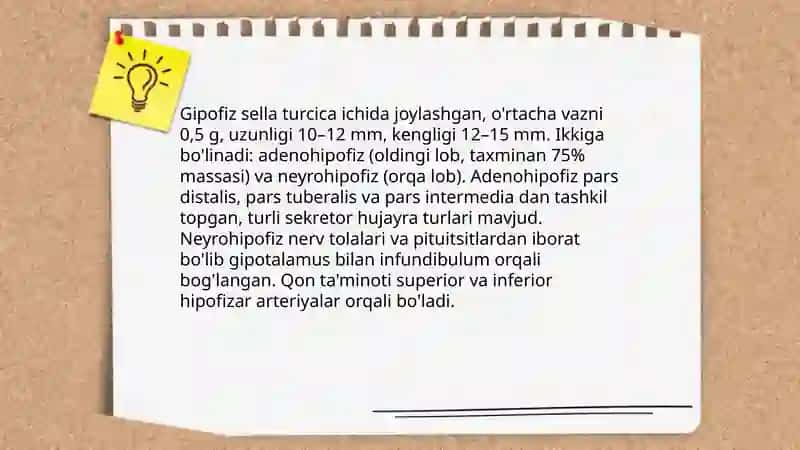 Gipotalamo- gipofizar tizim 4