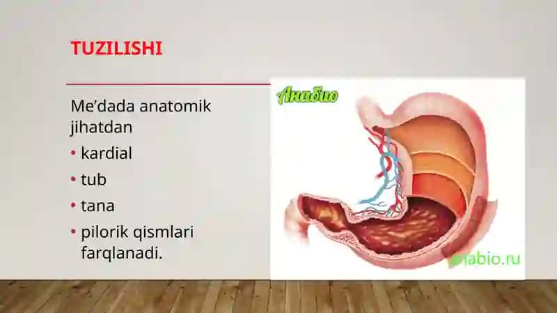 MЕ’DA 4
