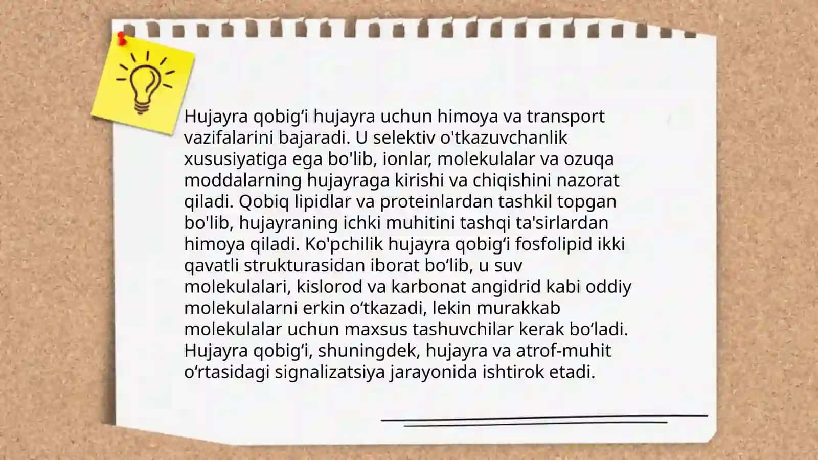 Hujayra qobig‘i 4