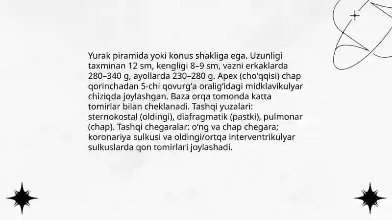 Yurakning morfo-funksional tavsifi 4