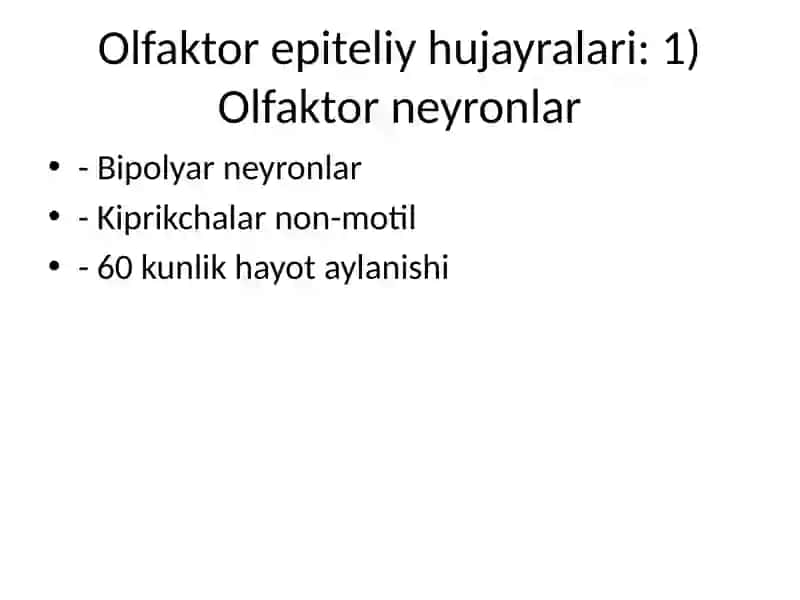 Hid bilish a’zosi (Olfaktor tizimi) 4