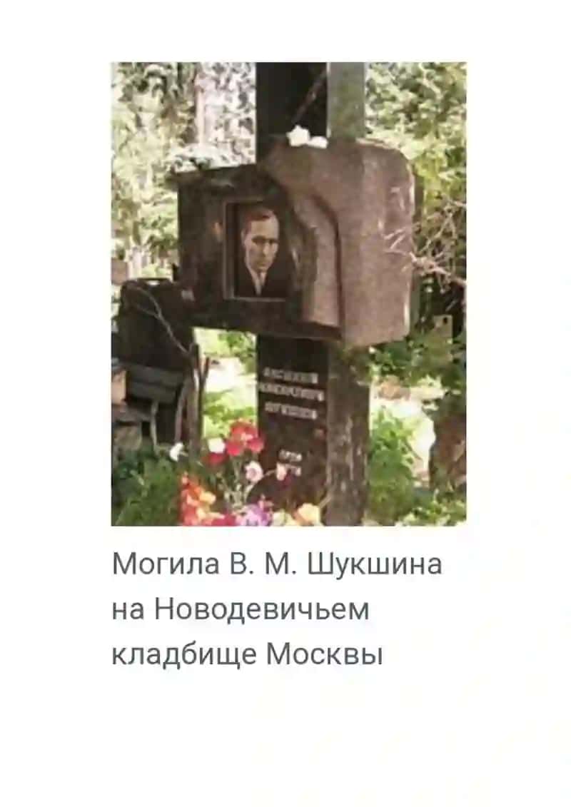 В. Шукшин 4