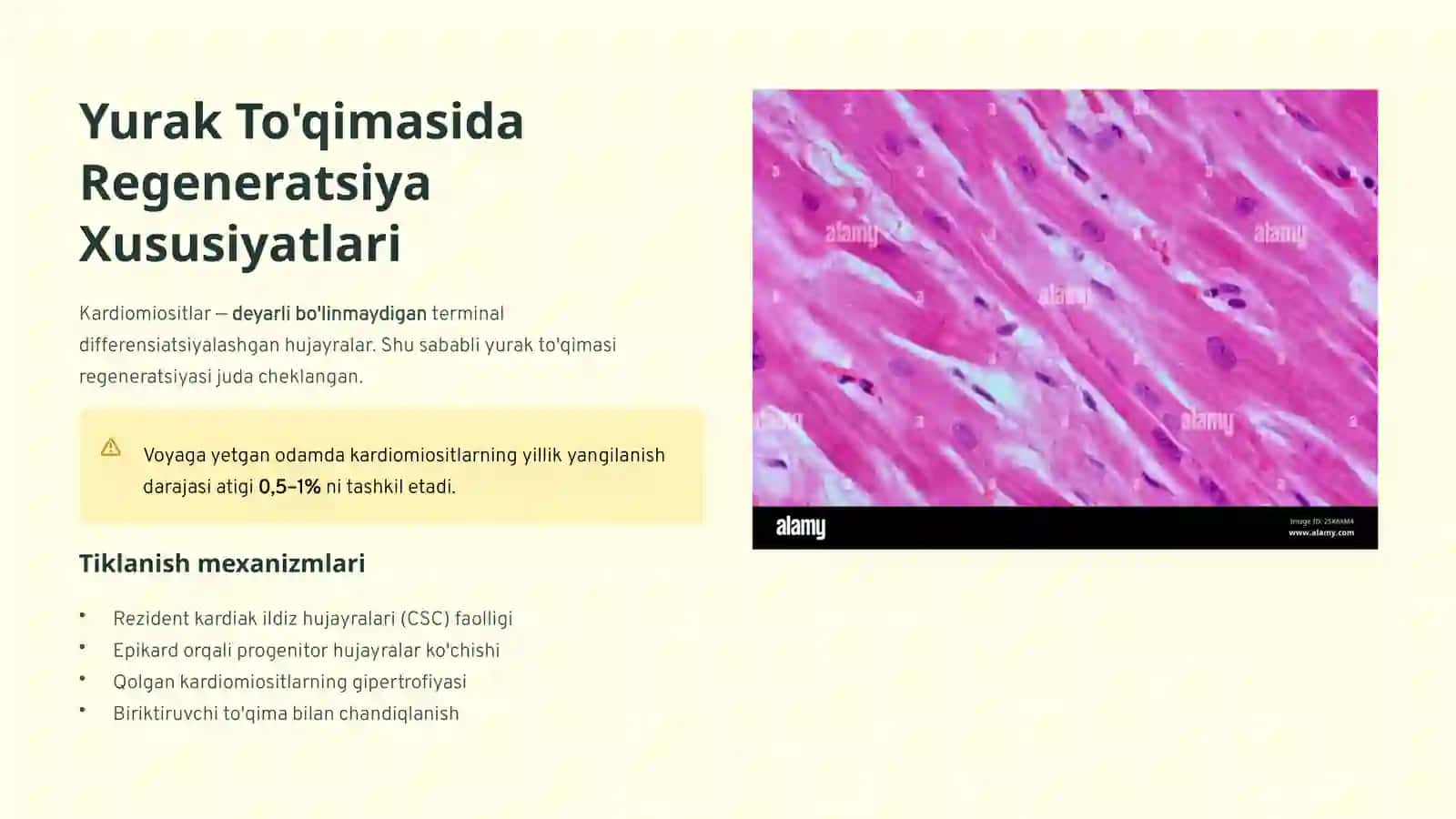 regenatorlar va kompensatorlar 4