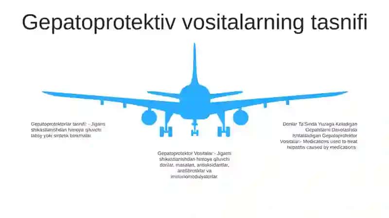 Gepatoprotektor Vositalar 4