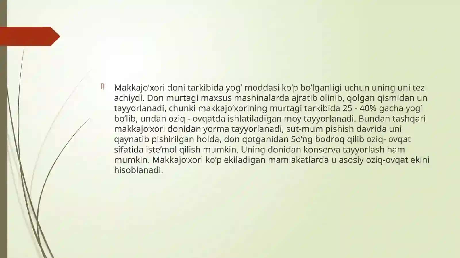 Makkajo’xoriniyetishtirish dao’g’itlashtizimi 4