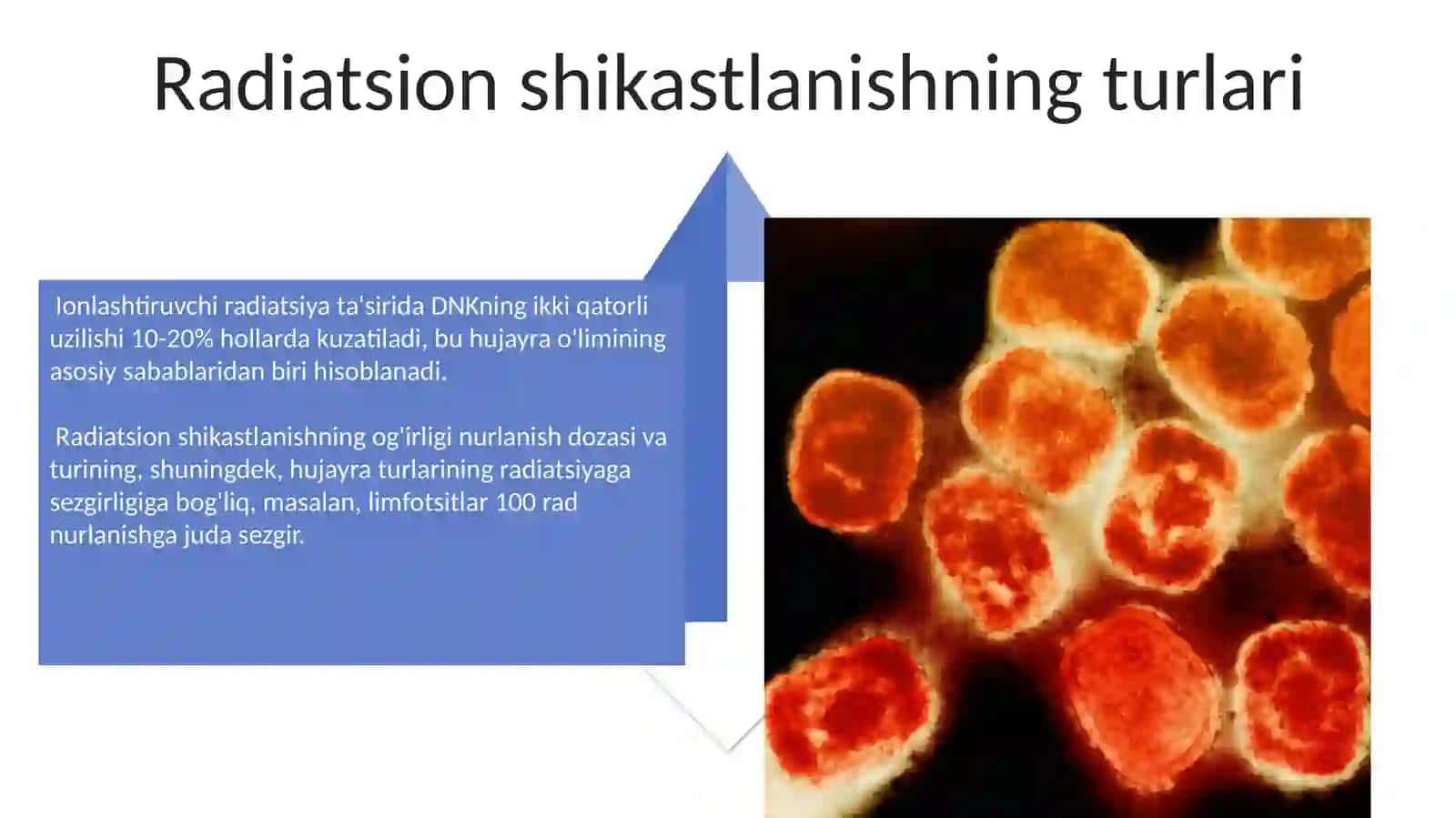 Ionlashtiruvchi nurlarning hujayraga tasiri 4