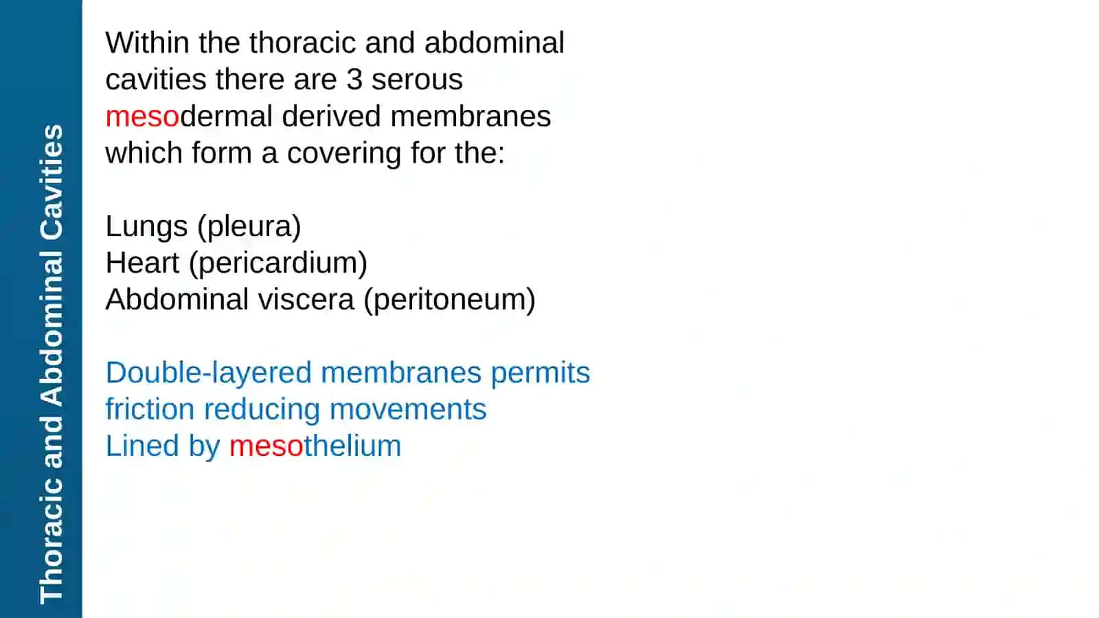 Pleura and Peural Cavity, Lungs 4