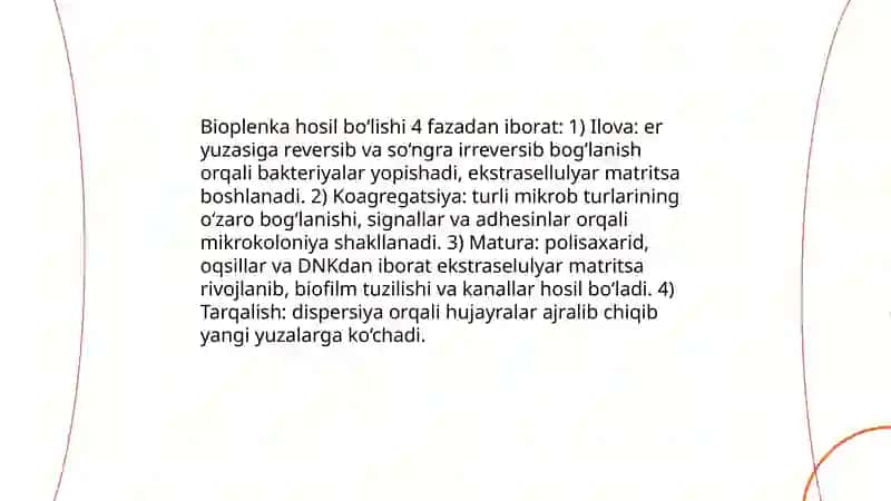 Bakteriyalarning bioplenkasi 4