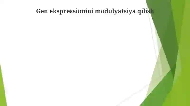 Fermetlar taʼsir mexanizimi 4