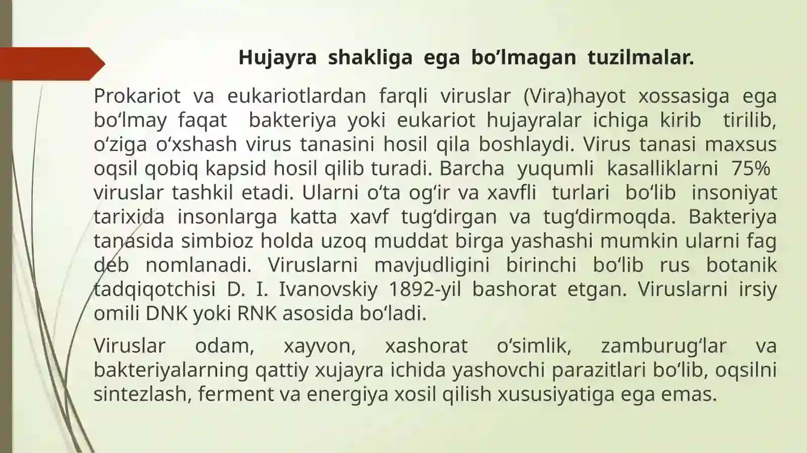 Viruslar va virosporalar tuzilishi 4
