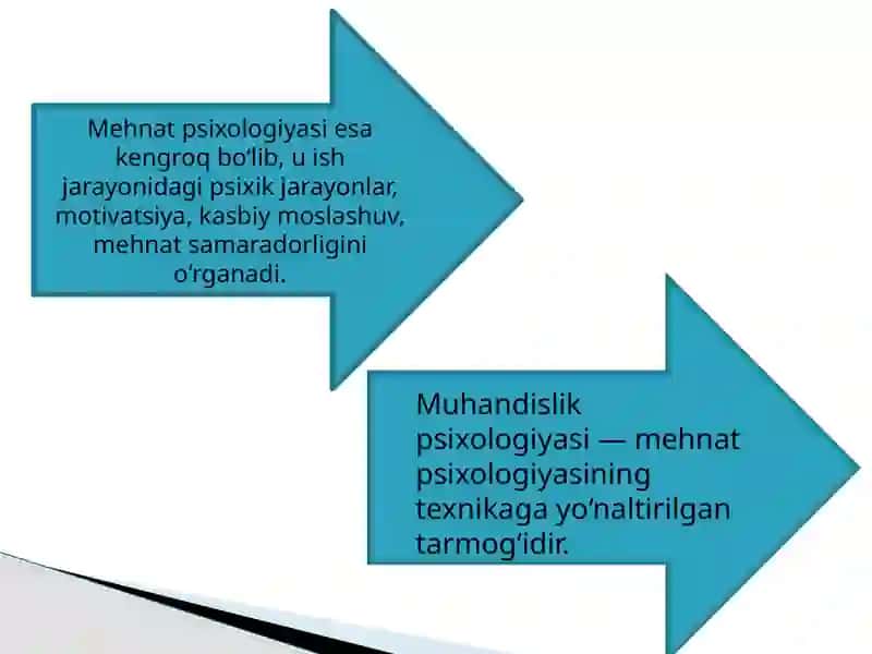 Muhandislik psixologiyasi 4