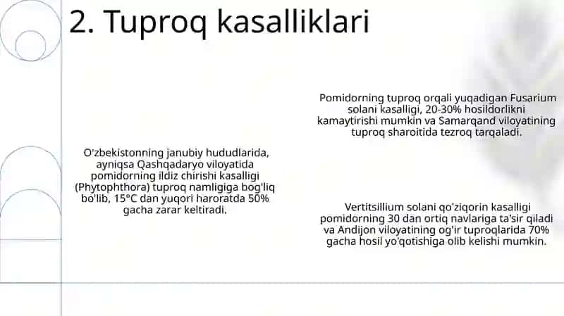 Pamidor kasalliklari 4
