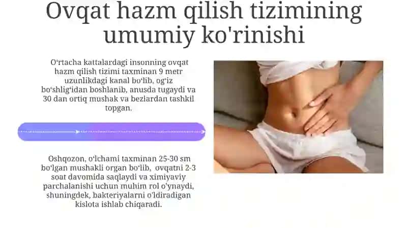 Ovqat hazm qilish sistemasi 4