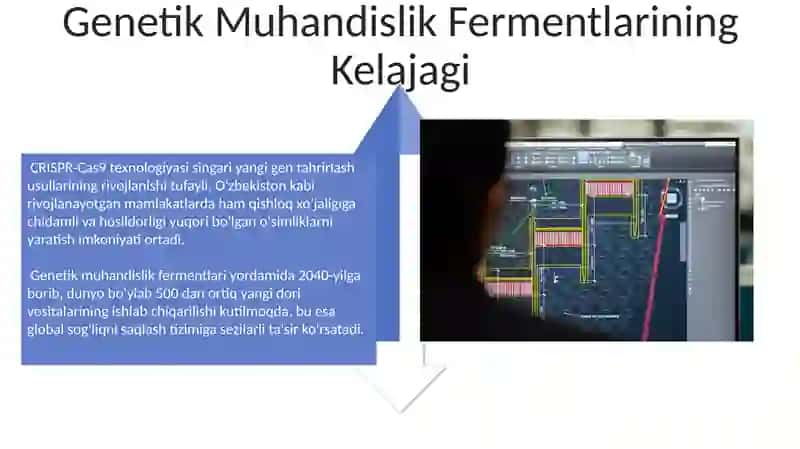 Genetik Muhandislik Fermentlari 4