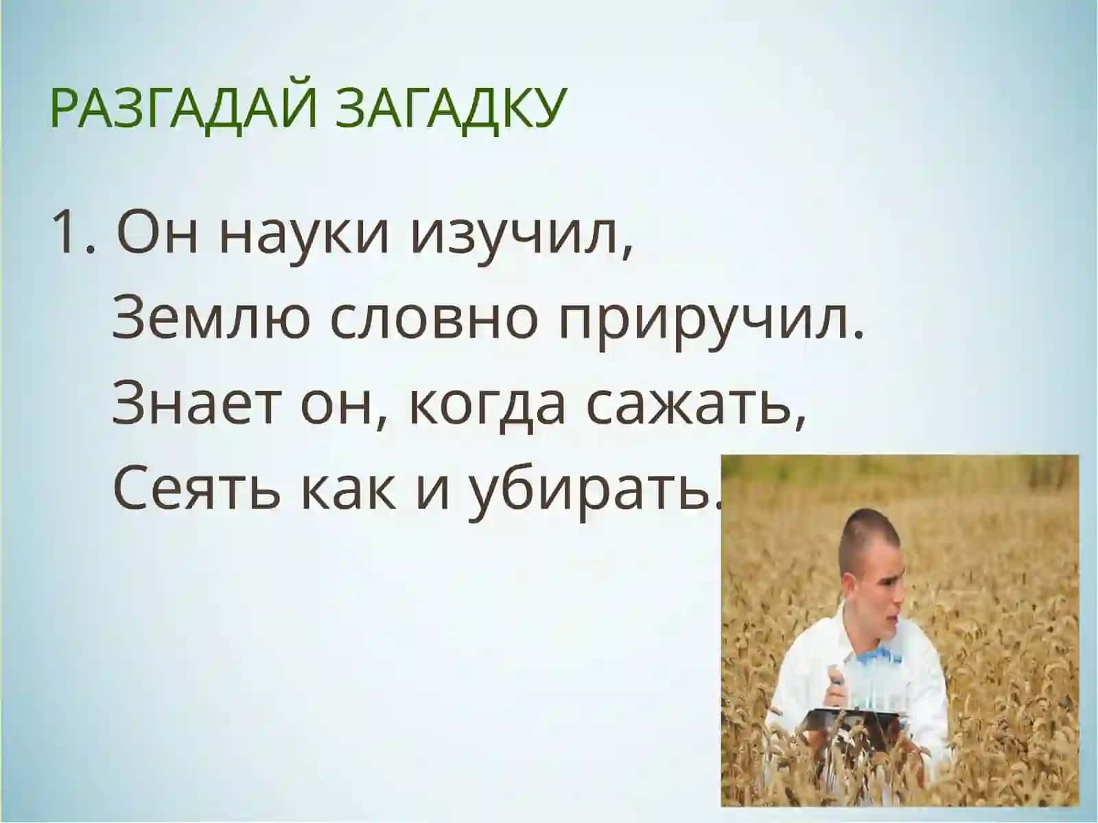 Игровые задания по теме «Мир профессий» 4