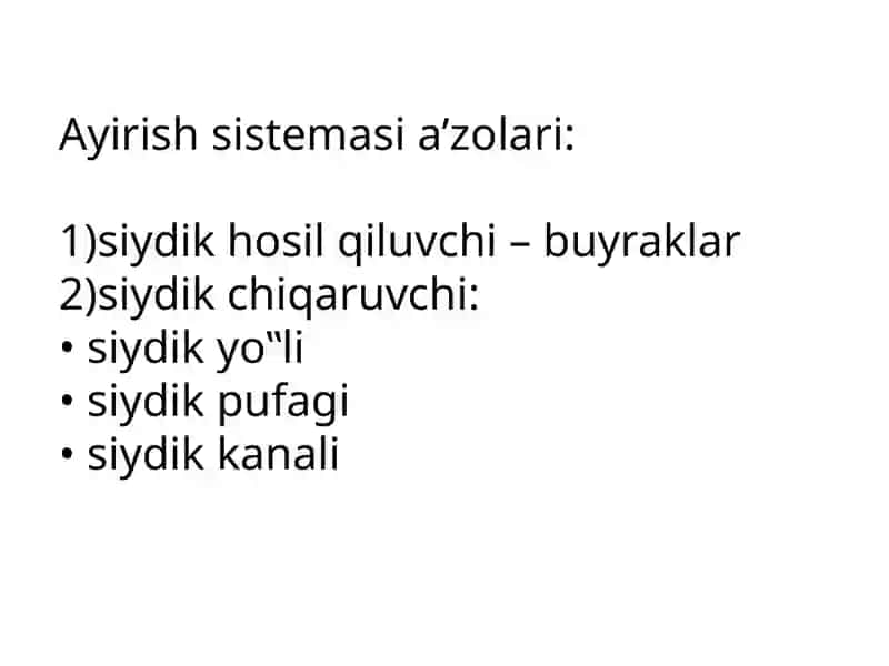 Buyrak va siydik yo'llarini nurli tekshirish usullari 4