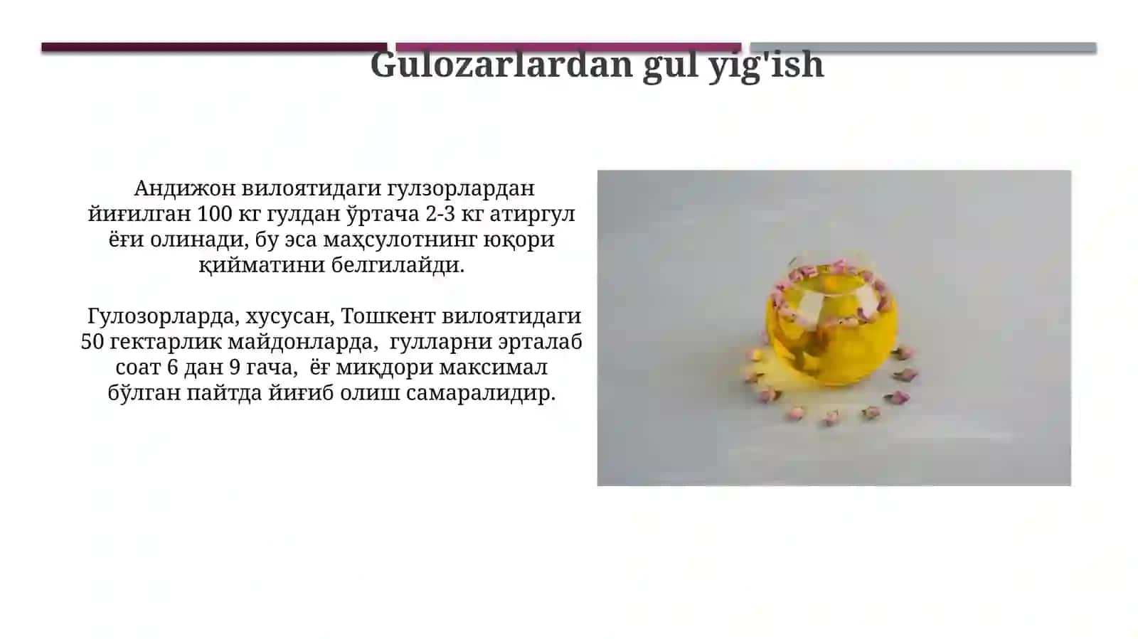 Atirgul efir moyiniekstraksiyaqilish 4
